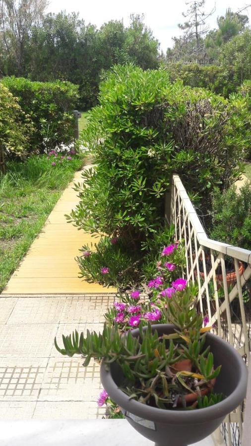 Sea beach relax Tirrenia Exterior foto